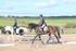 BPP_8951