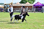 SBM_03505