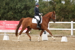SBM_011849