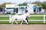 SBM_00227
