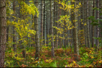 Changing Seasons