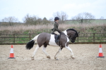 SBM_007955