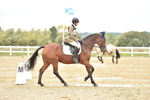 SBM_002491