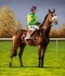Ruby Walsh / Kauto Star
