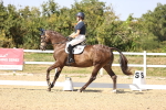 SBM_006527