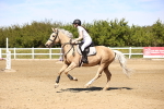 SBM_002586