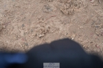 260315-132819-06282
