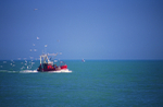 Trawler n birds