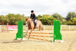 SBM_004877