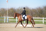SBM_003347