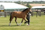 SBM_02145