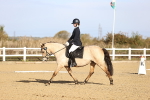 SBM_009090