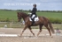 BPP_6322
