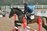 Cls 25 British Novice & Open portfolio