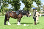 SBM_46917