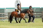 SBM_05177