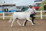 SBM_08457