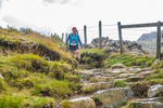 Langdale-2356