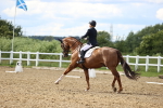 SBM_002195