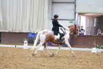 SBM_021675