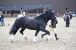 SBM_006395
