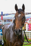 260725-Race 5-Beylerbeyi-0755