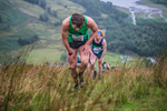 Steel Fell-97