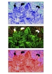 Lily Triptych  1