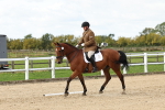 SBM_004453