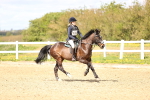 SBM_001852