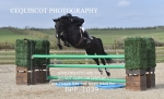 BPP_1039