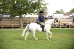 SBM_50209