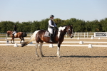 SBM_007006