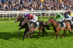 230923-Race 5-Vintage Clarets-6803
