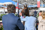 240824-Race 7-Sir Busker-2109