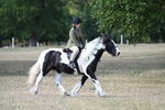 WJ7_7087