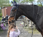 BPP_4753