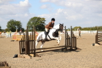 SBM_03340