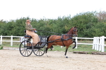 SBM_000342