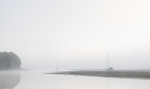 Boats in the mist.