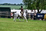 SBM_15299