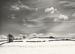 Soft Winter Light