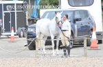 CLASS 3 BHS Scotland Riding Club Style Jumping Championship Final portfolio