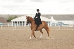 SBM_06324