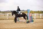 SBM_005725