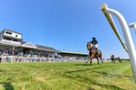 150726-Race 3-Lady Dublin-3164