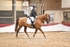 BPP_8533