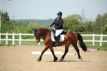 SBM_008968