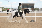 SBM_14642