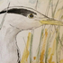Heron